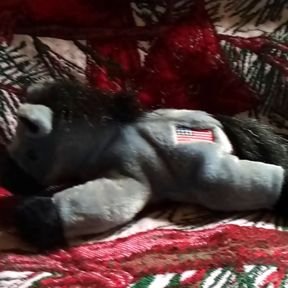 Ty beanie baby